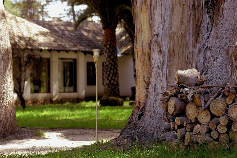 Penzion Hacienda Historica Marchigue Marchihue Exteriér fotografie